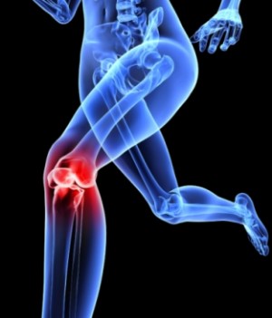 Bone Doctor in Meerut